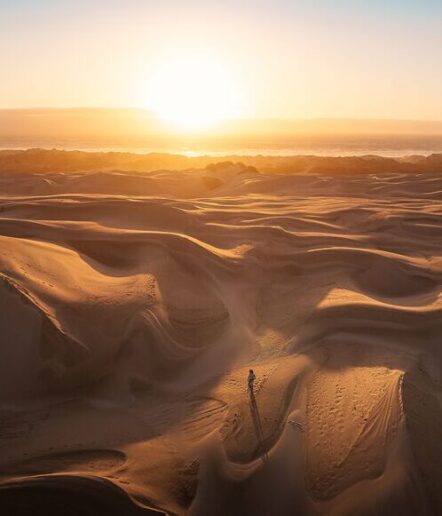 A lone person walks across vast, golden sand dunes at sunset, casting a long shadow. The landscape is filled with rolling dunes and the sun is low on the horizon, bathing the scene in warm light.