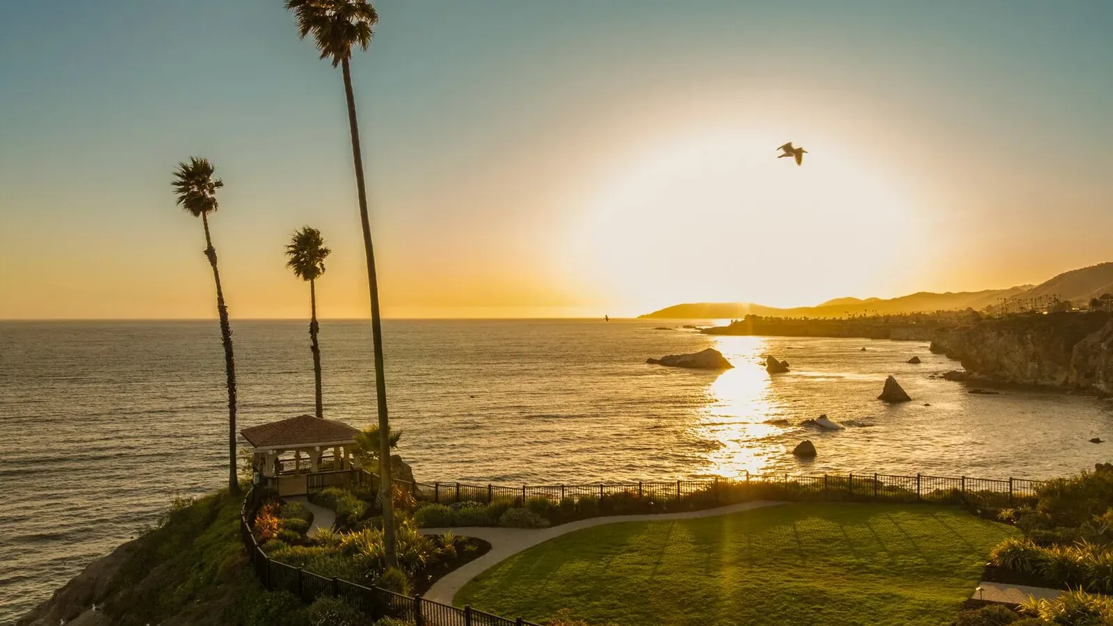 Sunset view over the ocean with three tall palm trees, a small gazebo on a grassy area atop a cliff, and a bird flying above the shimmering water reflecting the sun.