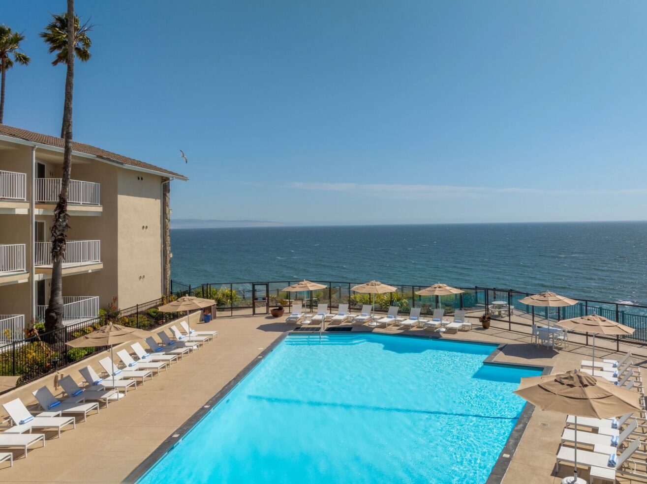 A sparkling outdoor pool surrounded by lounge chairs and umbrellas overlooks the ocean, with a clear blue sky above and a building with balconies on the left side.