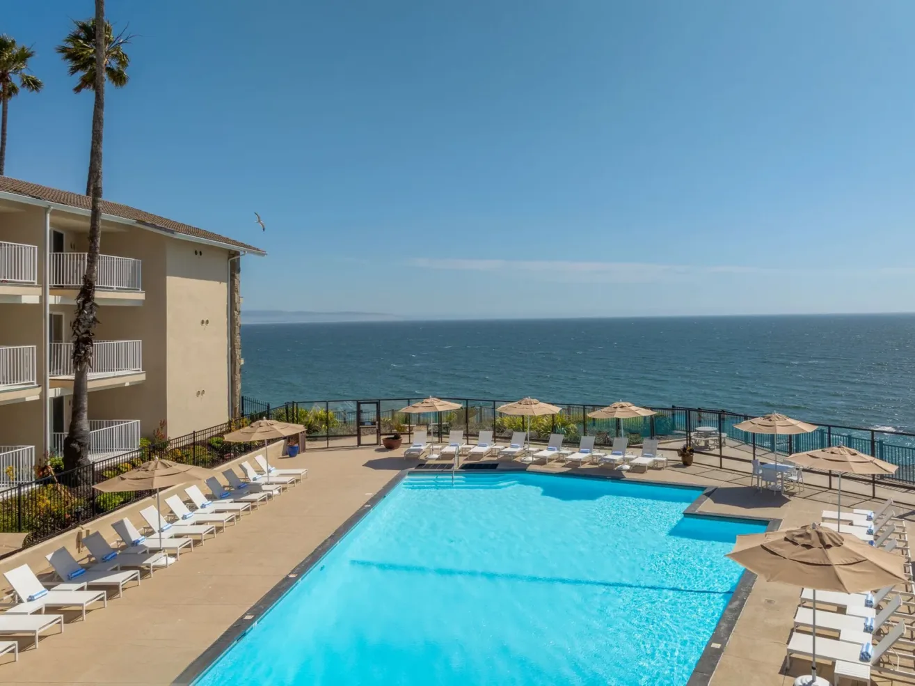 A sparkling outdoor pool surrounded by lounge chairs and umbrellas overlooks the ocean, with a clear blue sky above and a building with balconies on the left side.