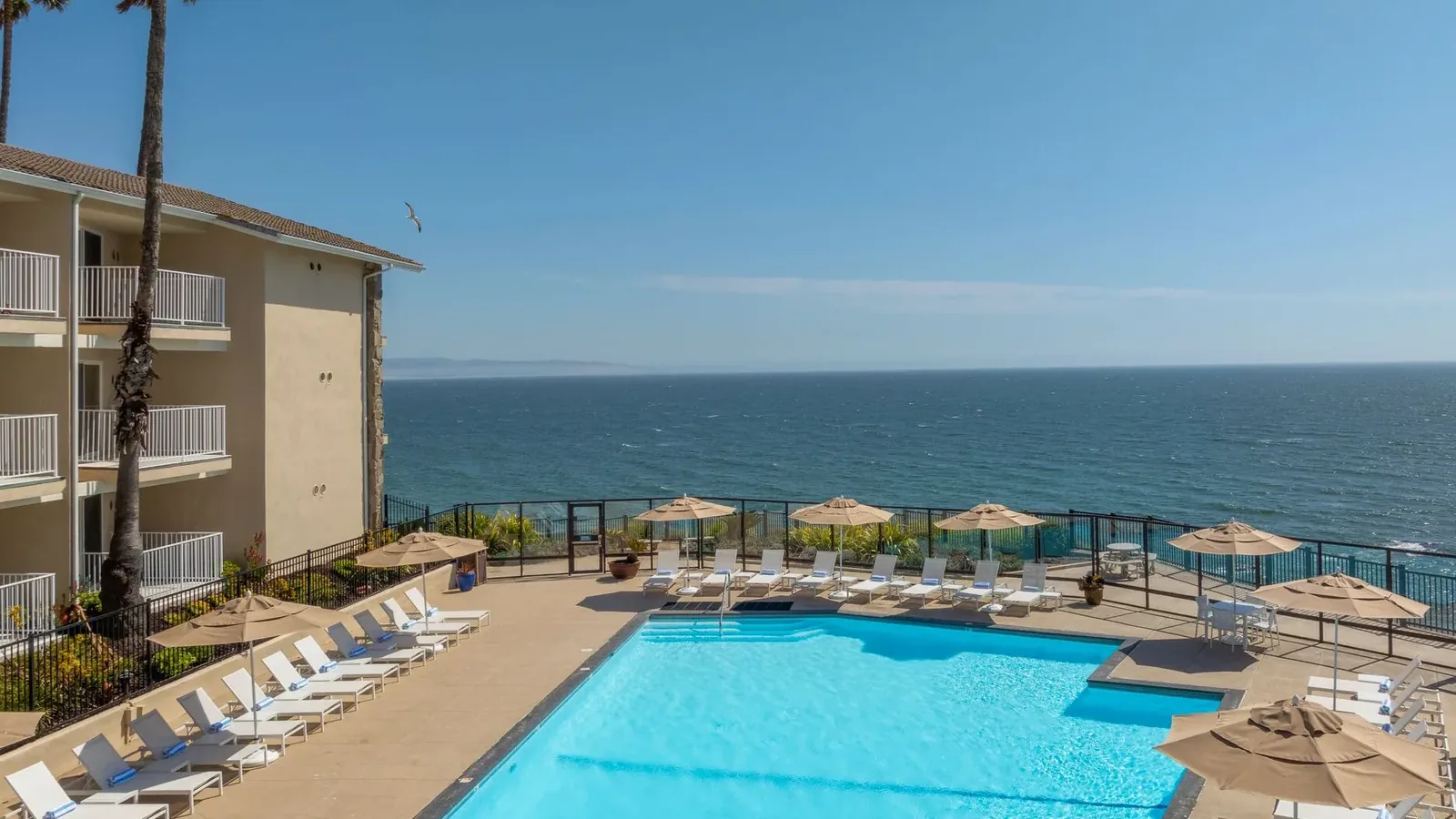 A sparkling outdoor pool surrounded by lounge chairs and umbrellas overlooks the ocean, with a clear blue sky above and a building with balconies on the left side.