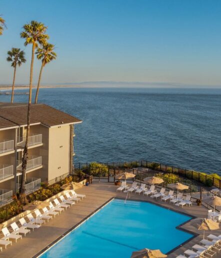A hotel pool area with many lounge chairs and umbrellas overlooks the ocean, with palm trees and a pier in the distance under a clear blue sky.